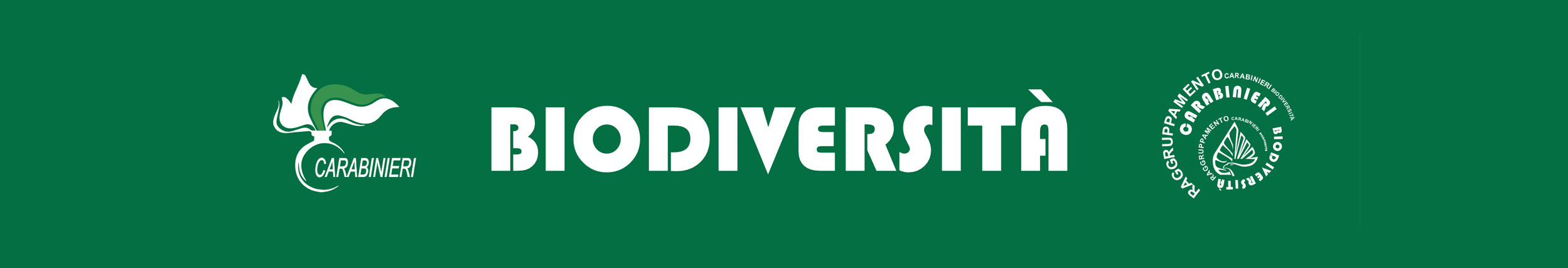 Raggruppamento Carabinieri Biodiversità